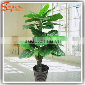 Indoor Decor Cheap Bonsai Plants for Sale Wholesale Artificial Bonsai Tree and Plant thumbnail-1