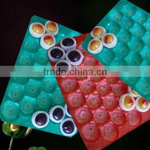 China Supply Cheap Plastic Fruit Tray thumbnail-3