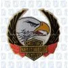 Patches thumbnail-1