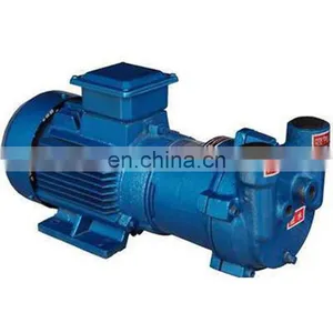 2BV Series Liquid Ring Vacuum Replacement Water Ring Pump thumbnail-1