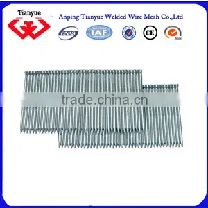 Stainless Steel Nails Manufacturer(15 Years Export Experience) thumbnail-6