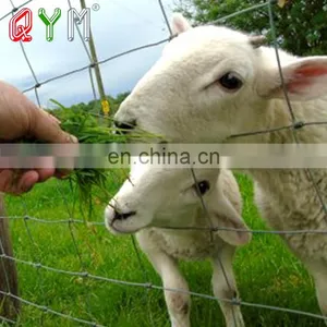 Field Farm Fence Cattle Fence On Farm Galvanized 4 Rails Horse Fence thumbnail-3