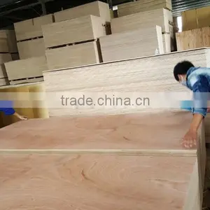 Plywood Origin in Vietnam thumbnail-2