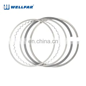 Wellfar 206 307 308 405 Engine Part Piston Ring 75mm 76.5mm for PEUGEOT Engine thumbnail-3