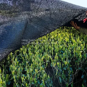 100% Hdpe Virgin Green Sunshade Net Fabric/Green Sun Shade Netting With High Quality Reasonable Price 2000 - 5999 Kilograms $2.70 6000 - 9999 Kilograms $2.40 > thumbnail-1