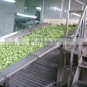 Good Performance Quick Frozen Machine Green Soy Bean Fruit Vegetable Making Machine Processing Machinery/processing Plant thumbnail-1