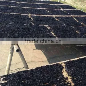 Dried Laver From Taiwan Strait thumbnail-1