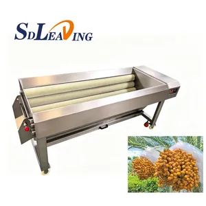 High Precision Medjool Palm Dates Brush Polishing Cleaning Machine Automatic Dry Dates Polishing Machine With Brush Roller Type thumbnail-4