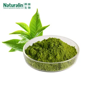 Matcha Tea Powder thumbnail-1