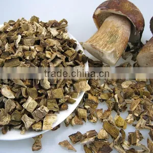 Fibrin Dried White FUNGUS MUSHROOM 2016 thumbnail-6