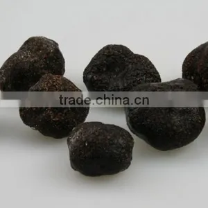 Black Truffle/truffles Mushroom thumbnail-4