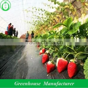 Hot Sale White Color Insect Net Greenhouse thumbnail-1