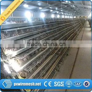 Hot-dipped Galvanized Quail Cage thumbnail-4