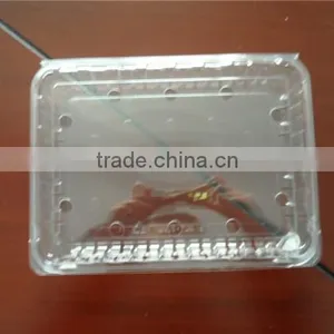 Plastic Seasonal Fruit Packaging Boxes of Different Specification thumbnail-2