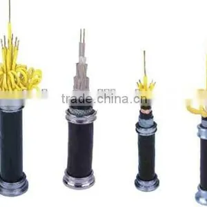 Low Voltage PVC Jacket Flame Resistant Control Cable thumbnail-1