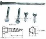 Hex Head Wood Screw DIN571 thumbnail-1