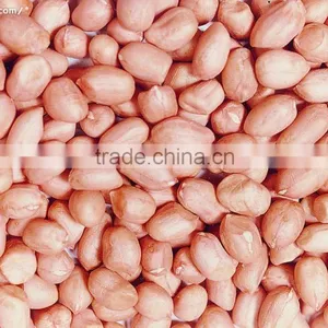 Import Export Peanut thumbnail-1