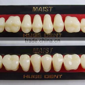 Dental Material MAIST 32 thumbnail-1