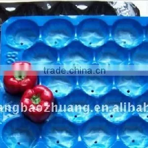 Plastic Polypropylene Packing Kiwi Tray thumbnail-1
