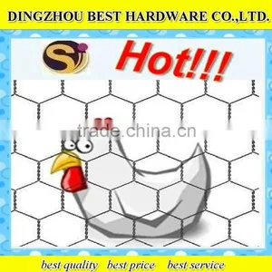 Galvanized Chicken Wire Netting thumbnail-1