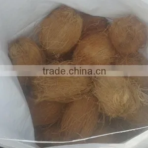 Fresh Coconuts thumbnail-2