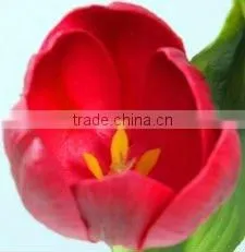 PU Artificial Flower-Mini Tulip thumbnail-1