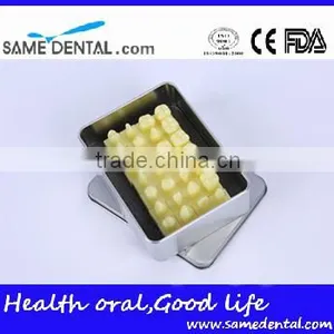 Dental Models 1.2 Times the Tooth Model School Education Teaching thumbnail-4