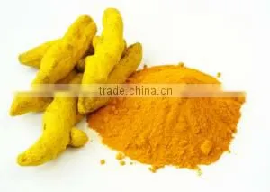 Supply Natural Turmeric With Curcumin 95% thumbnail-5