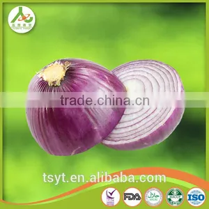 Export Onion From China With Fresh and Red Onion thumbnail-2