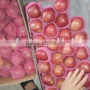 Qinguan Apples/Fresh Red Apple/ New Crop Apple From Origin Place thumbnail-2