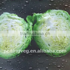 Fresh Green Round 2013 Cabbage( Own Farm) thumbnail-1