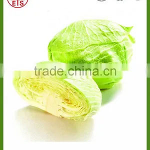 Shandong Hot Sale Fresh Cabbage thumbnail-5