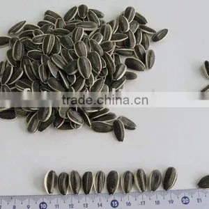 Snacks/sunflower Seeds 5135 22/64 thumbnail-1