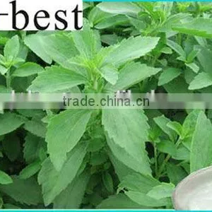 Stevia Extract 95% thumbnail-1