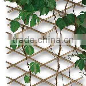 Outdoor Natural Expanding Garden Willow Trellis thumbnail-1