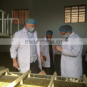 Broken Pumpkin Seeds Price GWS Oil Grade thumbnail-6