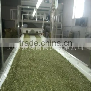 Xinjiang Bulk Pumpkin Shine Skin Kernels thumbnail-2