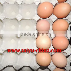 Stock Egg Tray Pulp thumbnail-1