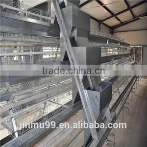 Automatic Chicken Feeding System thumbnail-1