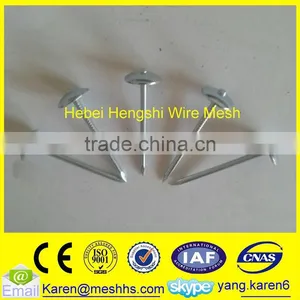 Roofing Coil Nails thumbnail-3