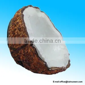 COCONUT FRUIT MAGNET RESIN 3D FRIDGE MAGNET SOUVENIR thumbnail-1