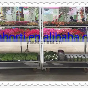 Display Trolley/flower Trolley/greenhouse Plant Trolley thumbnail-1