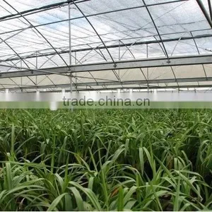 Multi-Span Agricultural Greenhouses Type and Film Cover Material thumbnail-1