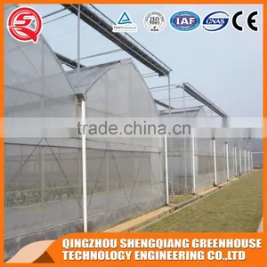 Multi-span Plastic Tomato Greenhouse Hot Galvanized Steel Frame thumbnail-1