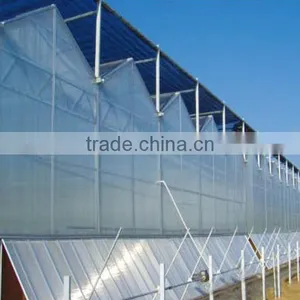 Galvanized Steel Structure pc Sheet Cover Greenhouses thumbnail-2