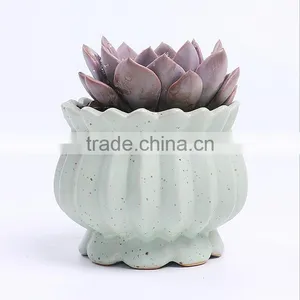 New Design Succulent Plants Ceramic Indoor Planters thumbnail-4