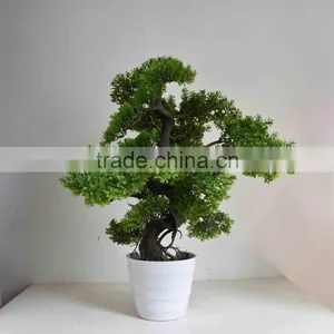 SJ0301125 Guangzhou Shengjie Artificial Plant Wholesale Cypress Bonsai Tree thumbnail-3