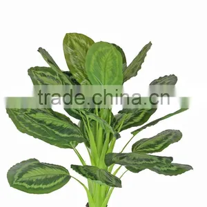HX010471 Fake Bottle Plant thumbnail-4