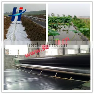 Geomembrane Used in Ornamental Lake Anti-seepage thumbnail-4