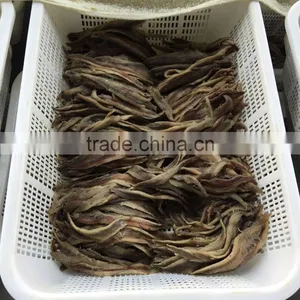High Quality Salted Anchovy Fillets thumbnail-2